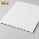 FOREX WHITE 0.65 20003000 5 MM