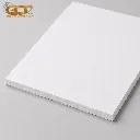 FOREX WHITE 0.65 20003000 10 MM