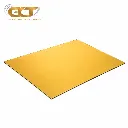 PLEXIGLASS PMMA GOLD 12202440 3 MM.webp