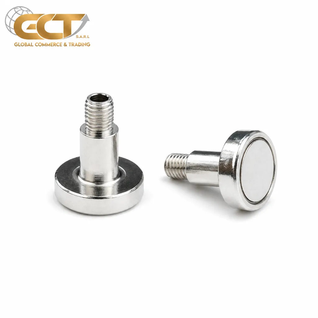 MAGNET 1317  M4.webp