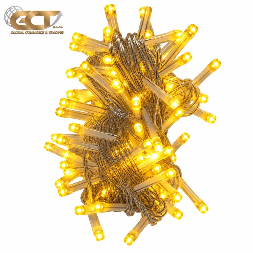 10M100LED lights(small)  FH-10M100LED-F5