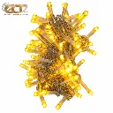 10M100LED lights(small)  FH-10M100LED-F5