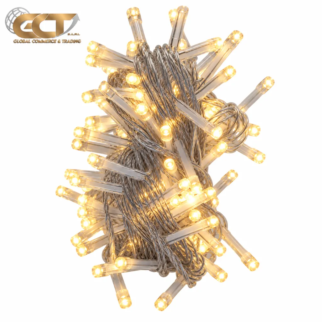 10M100LED lights(small)  FH-10M100LED-F5
