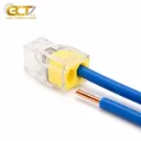 Connecteur de Fil PCT102 à Poussoir 2 Broches