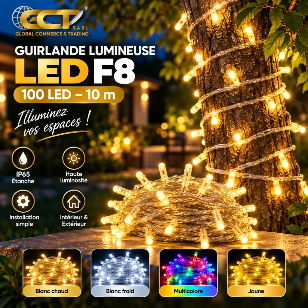 أضواء LED 10M100 (كبيرة) FH-10M100LED-F8
