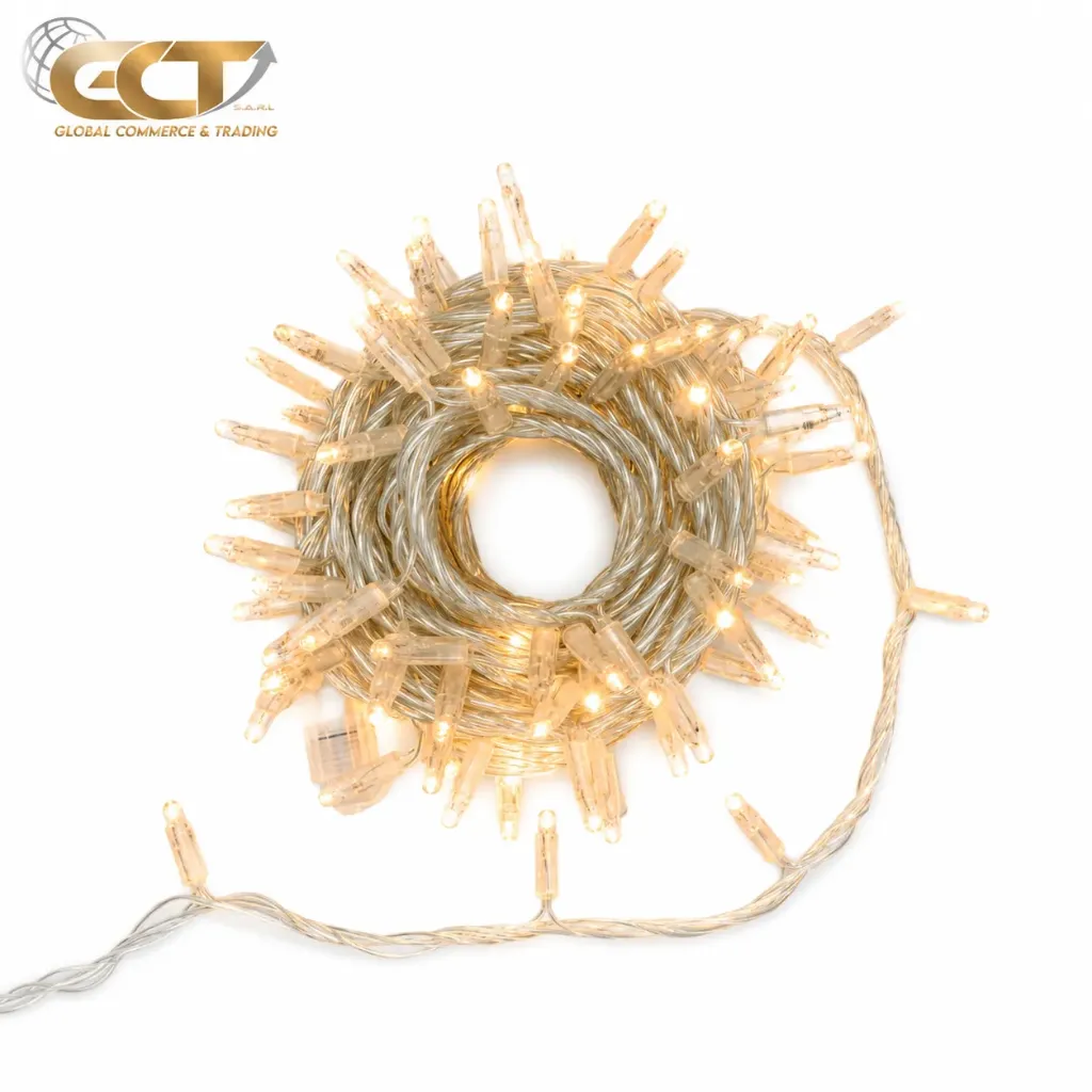 10M100LED lights(big)  FH-10M100LED-F8