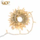 أضواء LED 10M100 (كبيرة) FH-10M100LED-F8