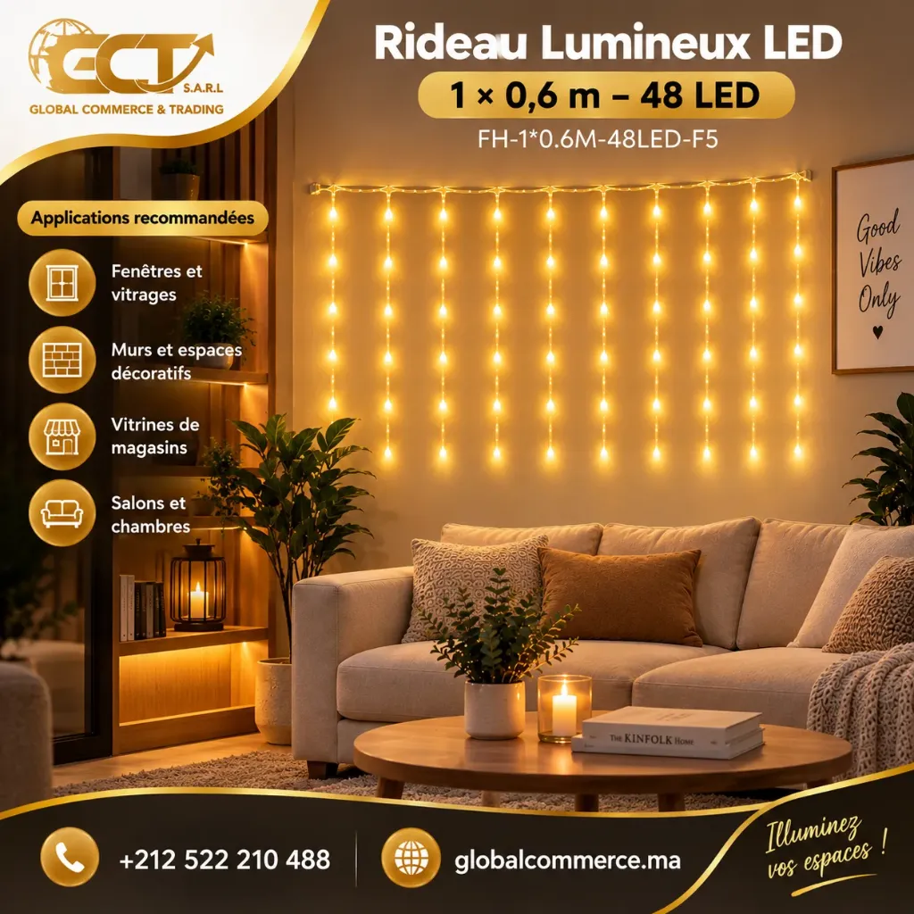 Rideau Lumineux LED 1 × 0,6 m 48 LED – Petit Modèle – FH-1*0.6M-48LED-F5