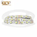 LED STRIPS 12V GC5050-60-12V